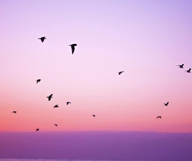 pink-stencil.facebook-post